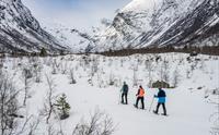 Trugetur i brelandskapet