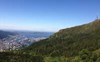 Nydelig panoramautsikt fra Vidden