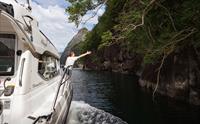 Gjest nyt fjordcruise om bord på Pilagutt med Hardanger Fjordcruise medan båten seglar gjennom smale fjordar med spektakulær natur.