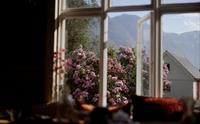 Utsikt mot blomstrande syrinar frå salongen på Hotel Sundal – vårstemning i fjordlandskapet.