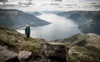 Ein turgåar stig oppover fjellsida med Hardangerfjorden i bakgrunnen.