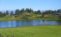 Speglblank innsjø omgitt av grøne bakkar og fjell i Hardanger.
