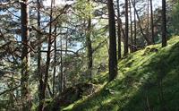 Fjøsnastølen