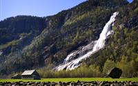 Vidfoss på Hildal