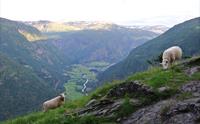 Mørkridsdalen