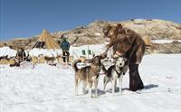 Eventyrer Moa Hunseid kler på to huskier i snøen på folgefonna husky camp.
