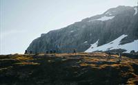 Turgåarar utforskar Hardangers majestetiske fjellandskap med Trolltunga Adventures.