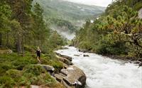 Vandre langs elva i Husedalen, omkransa av frodig skog og fossedusj i det fjerne.