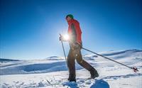 Sogndal Skisenter, Hodlekve