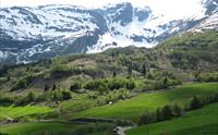 Kulturlandskap på Reisæter med snødekte fjell i bakgrunnen.