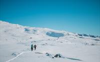 Trolltunga Vintertur