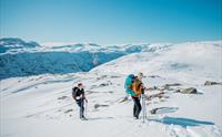 Trolltunga Vintertur