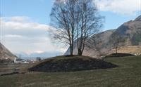 Moahaugane, Vik