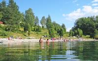 Norevikane i Høyanger
