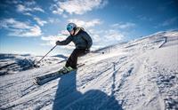 Sogndal Skisenter, Hodlekve