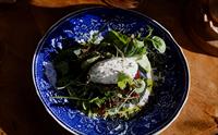 Kreativ rett med sesongens grønt og posjert egg – smaksrik matoppleving på Hotel Sundal.