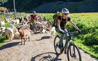 Flåm Bike Rental