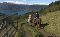 Hesteridning Alm Gard