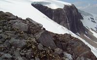 Fresvikbreen Glacier