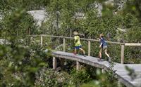 Guida tur til Nigardsbreen utsiktspunkt