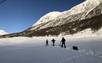 Trugetur I Sogndalsdalen