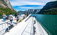Fjord Cruise Nærøyfjord