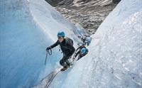 Nigardsbreen