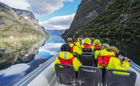 Fjord safari