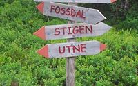 Setehaug