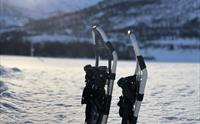 Trugetur I Sogndalsdalen