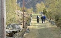 Borgund Stavkyrkje
