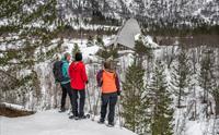 Trugetur i brelandskapet i Jostedalen