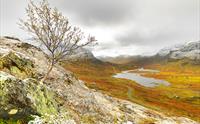 Stølsheimen