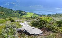 Reiseterlia