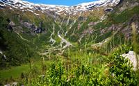 Fjærland