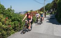 See Bergen from your bike