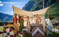 Vikinglandsbyen Njardarheimr