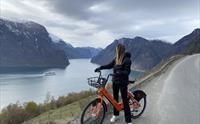 Fjordsplorer Aurland Flåm