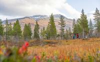 Utladalen, Årdal