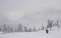 Svarteholten, Sogndal