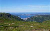 Vidden fra Ulriken til Fløyen
