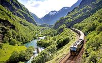 Fjord Tours AS