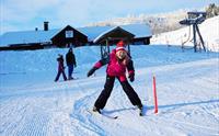 Sogndal Skisenter, Hodlekve