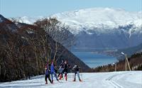 Skistova Vik