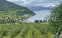 Amble gård