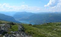 Solvorn-nipa