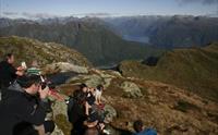 Saurdal - Balestrand