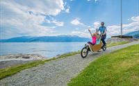 Balestrand Fjord Angling - Sykkel