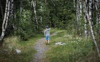 En liten gutt går på en sti inn i skogen.