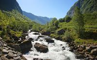 River in the Folgefonna National Park